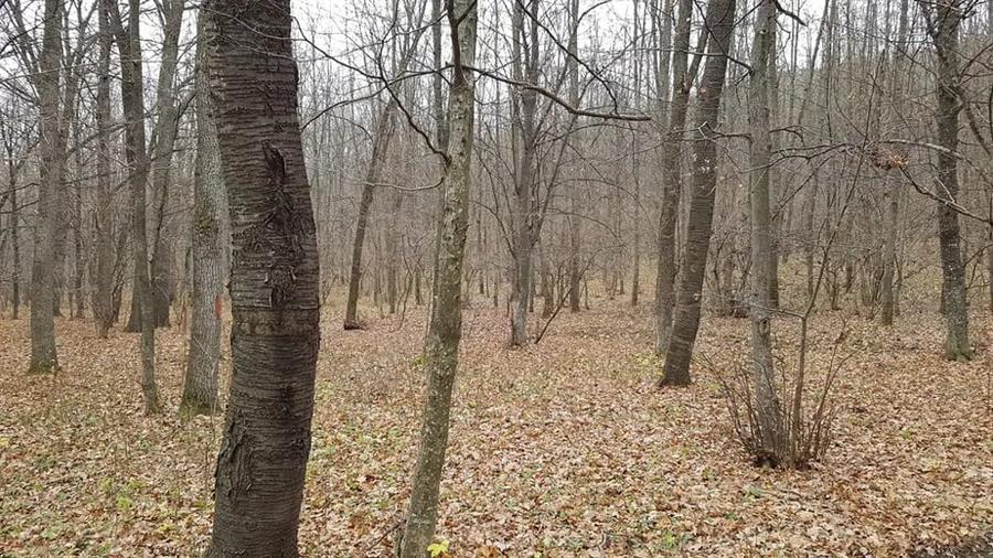 Teren de 90000 mp, în Central