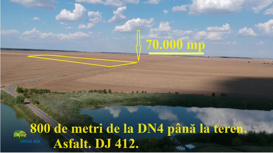 Teren Construcții intravilan de 69000 mp, în Frumușani