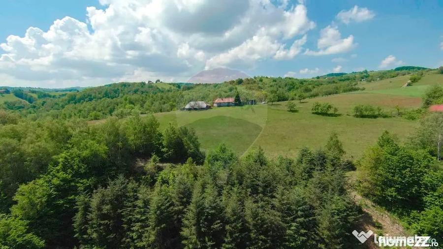 Casă cu 5 camere cu Teren 55706 Mp în Valea Târnei
