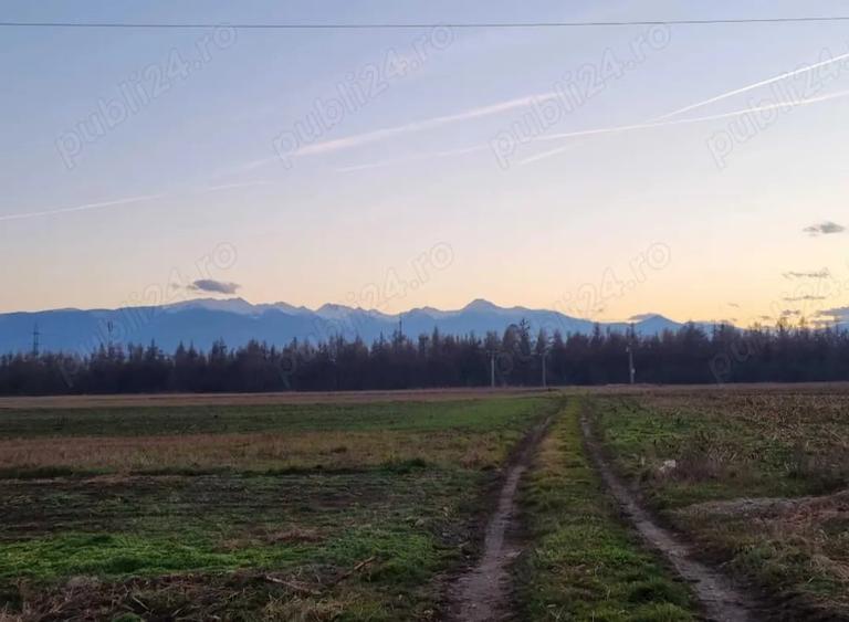 Teren de 1820 mp, în Central