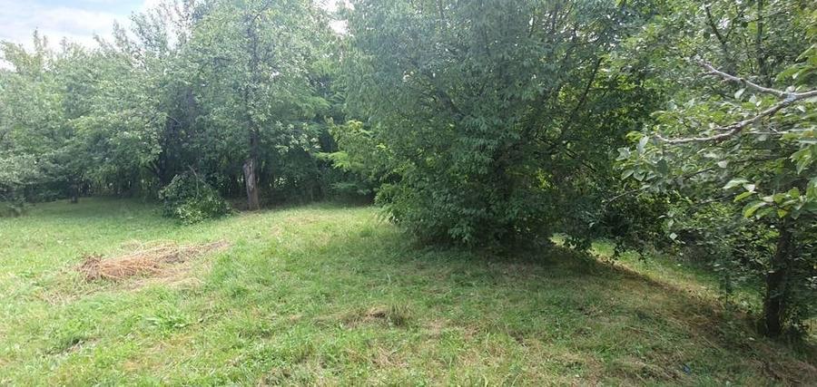 Teren de 4000 mp, în Izvoarele