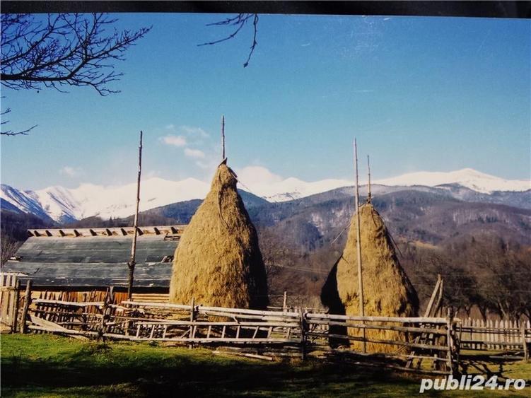 Teren de 2500 mp, în Central