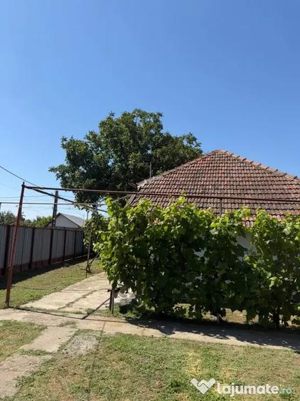 Casă cu 4 camere cu Teren 1000 Mp în Ciorani