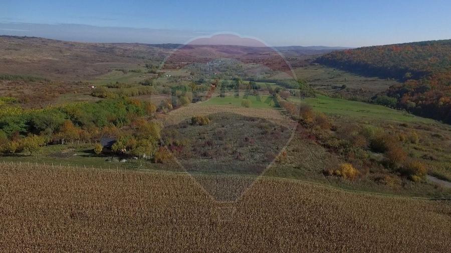 Teren agricol intravilan de 2556 mp, în Pădureni (Chinteni)