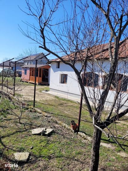 Casă cu 5 camere cu Teren 790 Mp în Roata de Jos