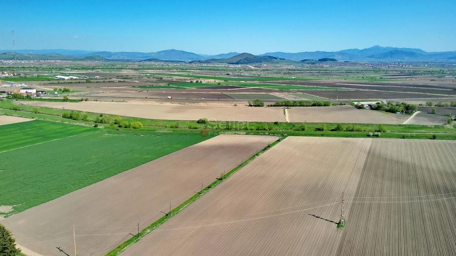 Teren Construcții intravilan de 126800 mp, în Stupini