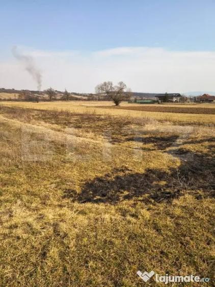 Teren de 4000 mp, în Central