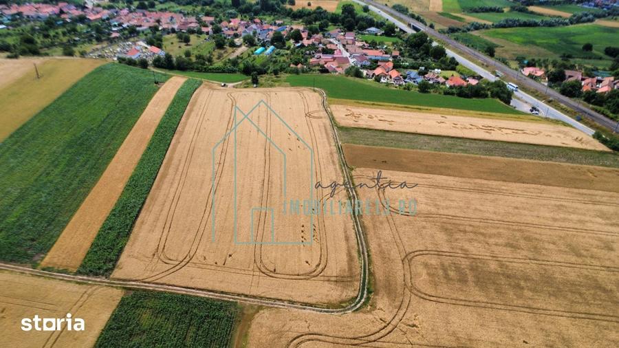 Teren de 2900 mp, în Vințu de Jos
