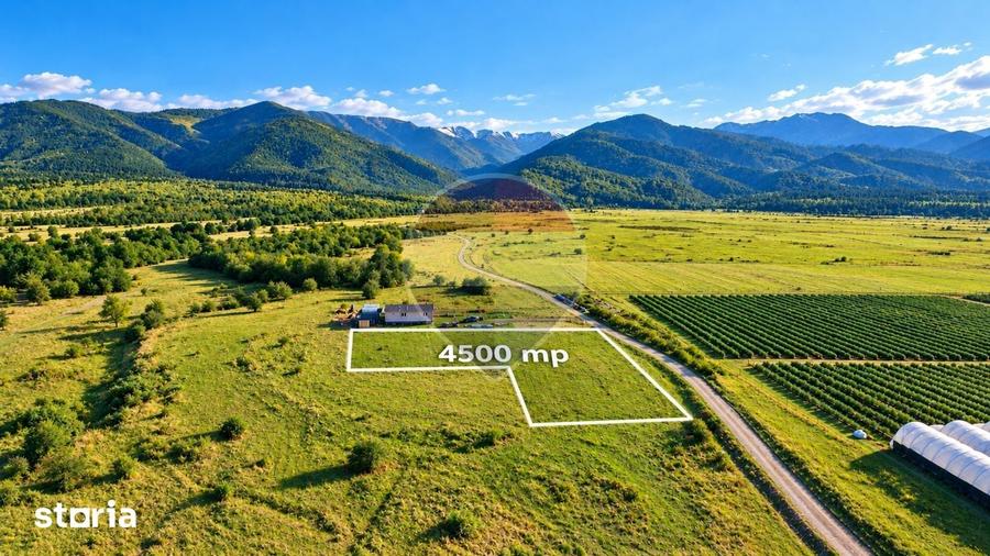 Teren de 4500 mp, în Recea
