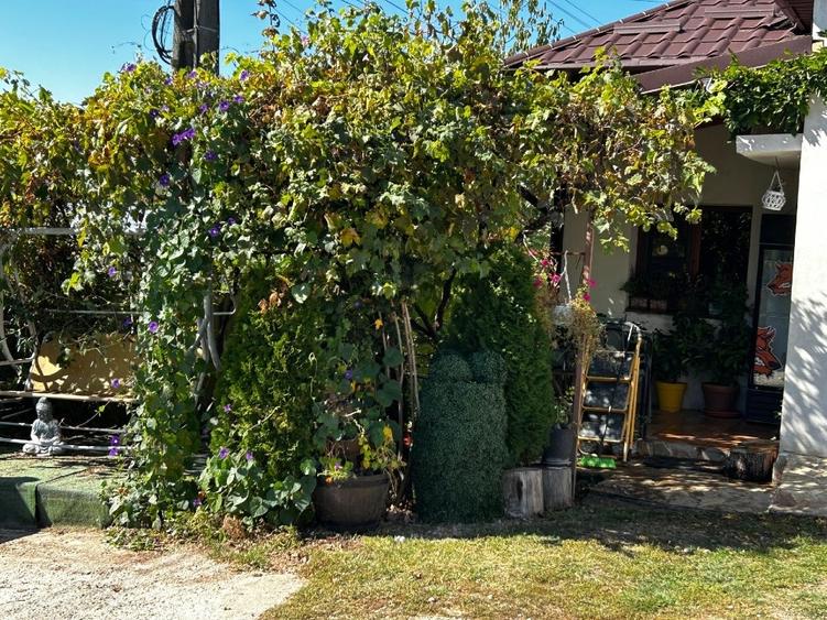 Casă individuală cu 4 camere cu Garaj în Albota