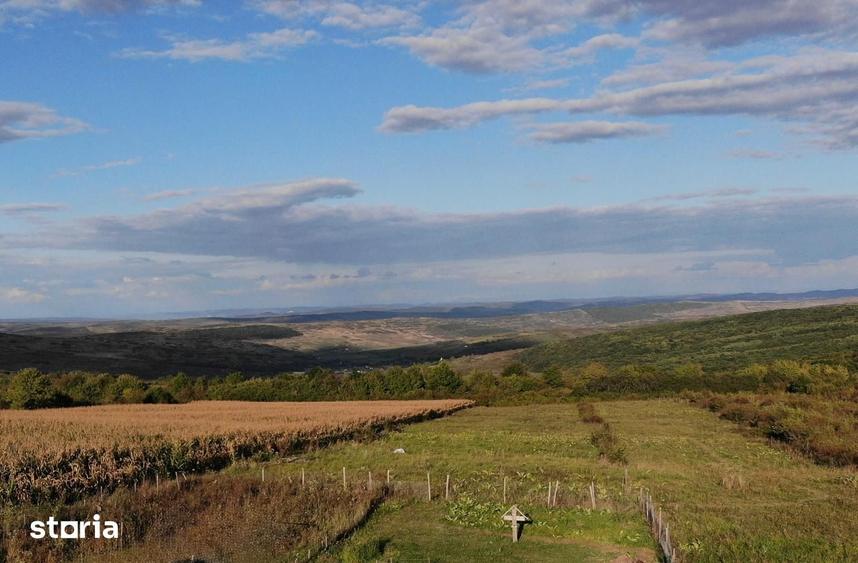 Teren de 1300 mp, în Chinteni