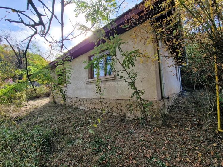 Casă cu Teren 4770 Mp în Central