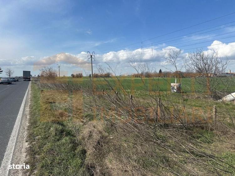 Teren de vanzare 18.000 mp | Deschidere la DN | Ideal investitie - 10