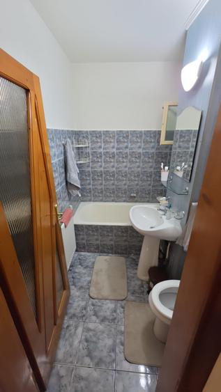Apartament 2 camere, 50 mp, complet mobilat-utilat, Cetate, 300 Euro - 4