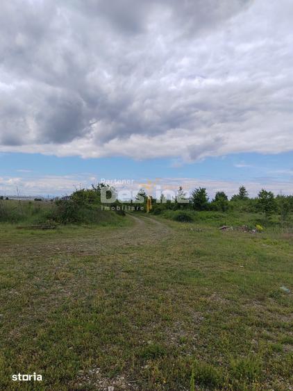 Teren de 114000 mp, în Ariceștii Rahtivani