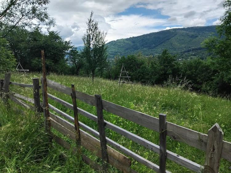 Teren de 1200 mp, în Valea Doftanei