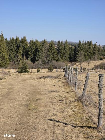 Teren de 1350 mp, în Beliș