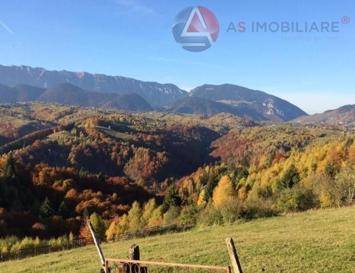 Teren intravilan de 10669 mp, în Moieciu de Jos