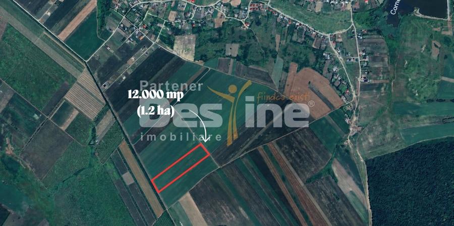 Teren agricol extravilan de 12000 mp, în Proselnici