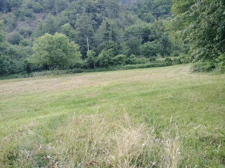 Teren de 3562 mp, în Vața de Sus