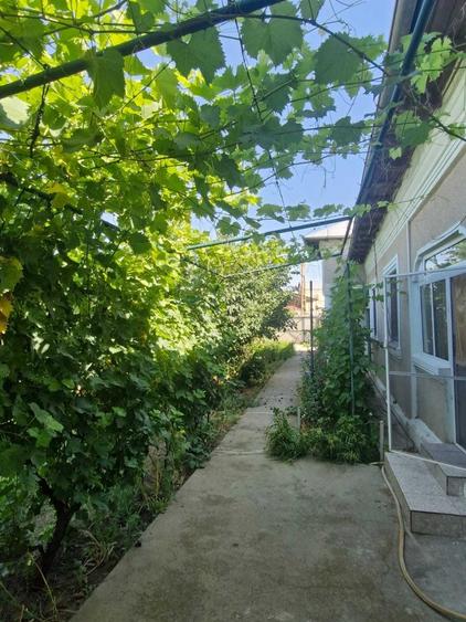Casa de vanzare, Jud.Teleorman - 3