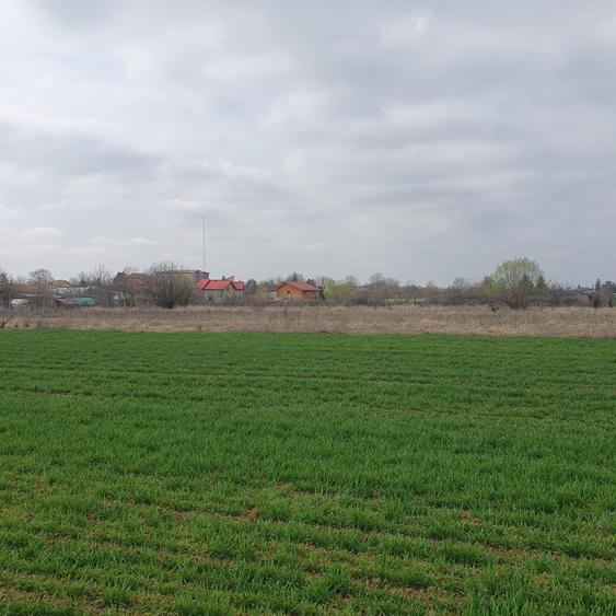 Teren agricol intravilan de 4500 mp, în Tâncăbești