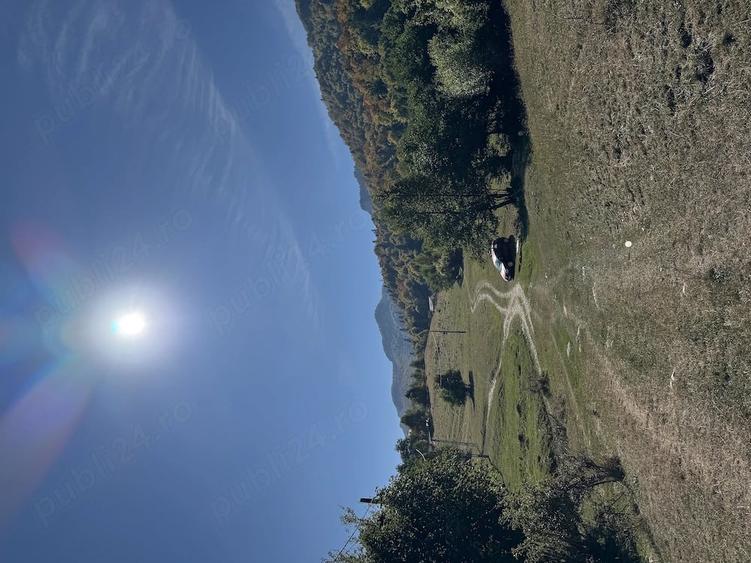 Teren de 1760 mp, în Central