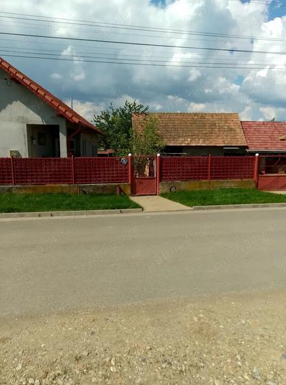 Teren de 5100 mp, în Mihai Viteazu