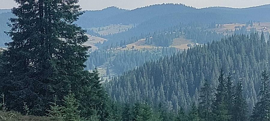 Spațiu comercial, în Poiana Horea