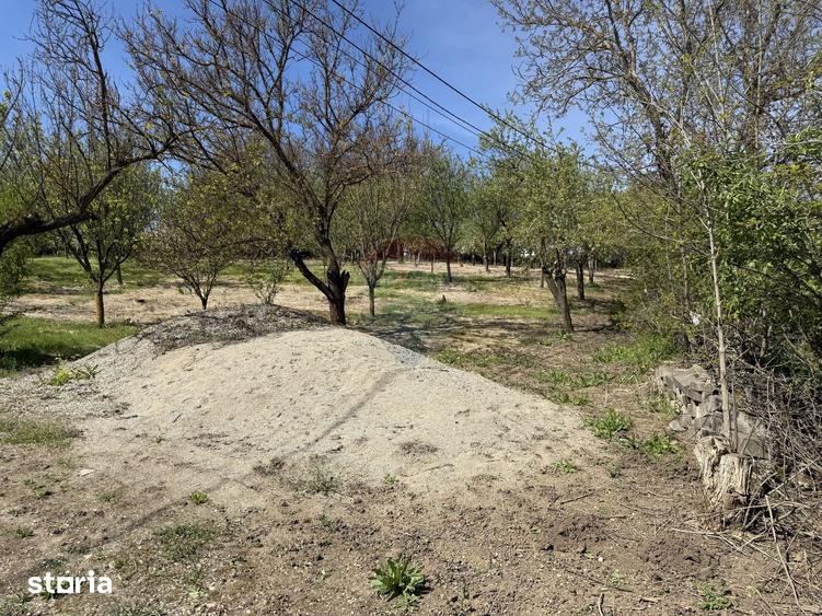 Teren de 3783 mp, în Bădeni