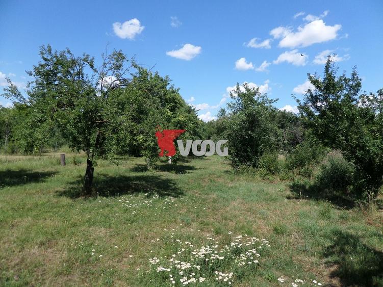 Teren Construcții intravilan de 2810 mp, în Fratelia