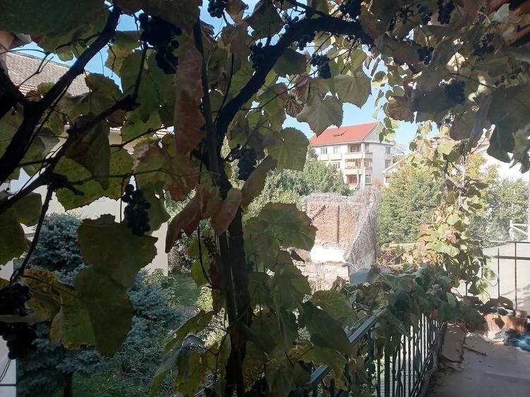 Garsonieră nedecomandată în Bălcescu