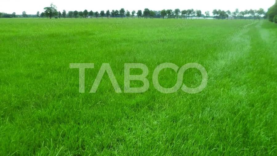 Teren de 7000 mp, în Industrial Vest