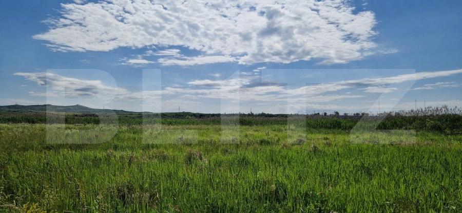 Teren Construcții intravilan de 8633 mp, în Răscruci