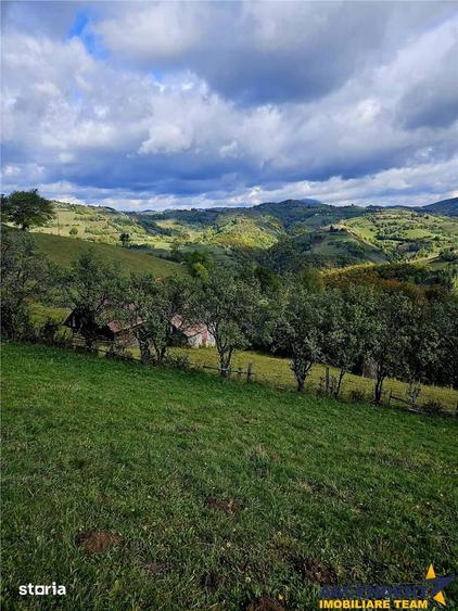 FILM! Cu view panoramic la 360 grade, teren 10.335 mp, Poiana Marului - 8