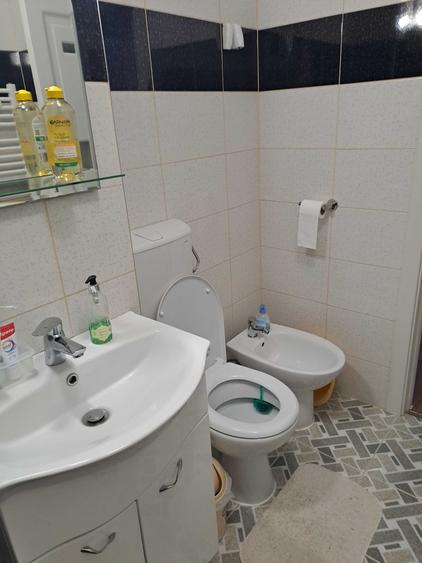 Apartament cu 2 camere decomandat în Sub Arini