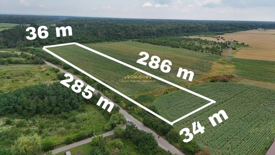 Teren Construcții intravilan de 10000 mp, în Periș