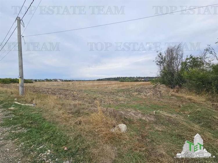 Teren Intravilan pentru constructie, 3000mp, Branesti, Ilfov - 3