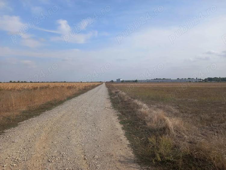 Teren de 10000 mp, în Dascălu