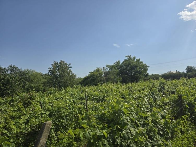 Casă individuală cu 4 camere cu Teren 2000 Mp în Deleni (Hoceni)