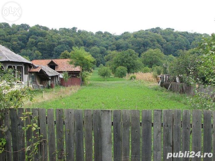 Teren de 3834 mp, în Negoiești