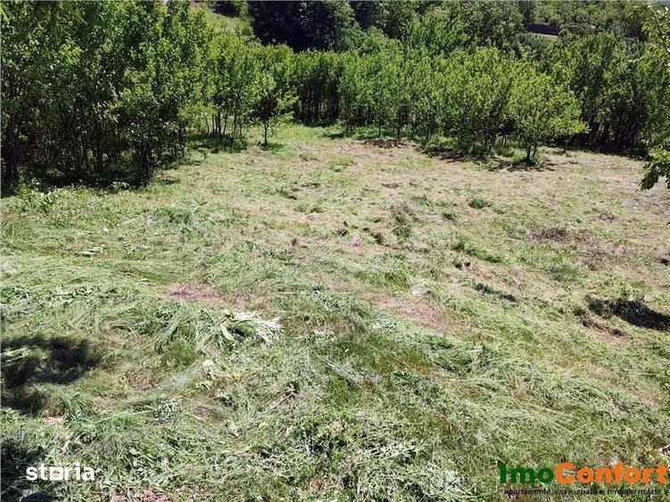 Teren de 290 mp, în Bârnova