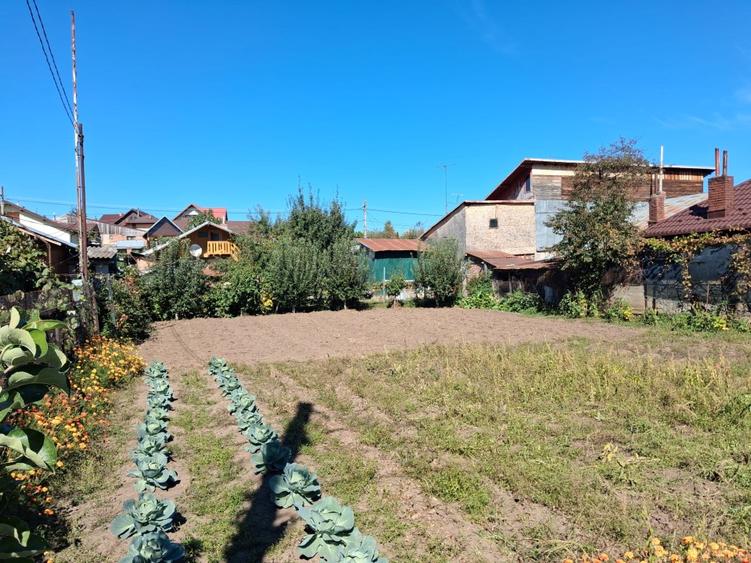 Teren Construcții intravilan de 500 mp, în Voila