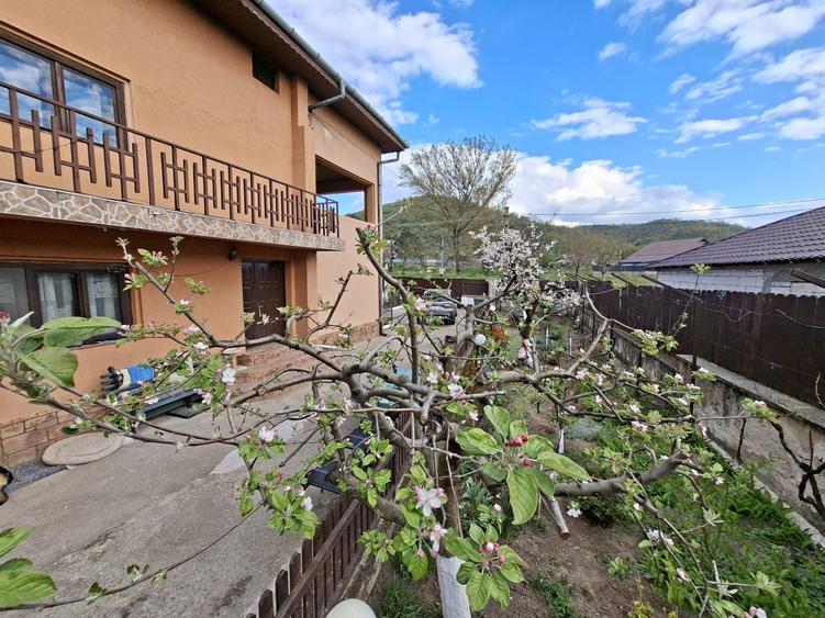 Direct proprietar - vila de vanzare in Hinova - 2