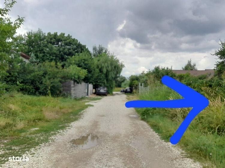 Berceni Dumbrava Rosie - 2