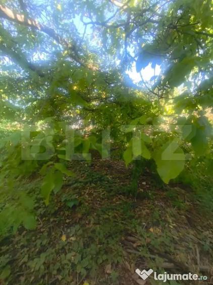 Casă cu 2 camere cu Teren 1127 Mp în Unirea