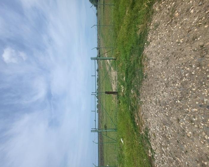 Teren agricol intravilan de 10 mp, în Sintea Mare