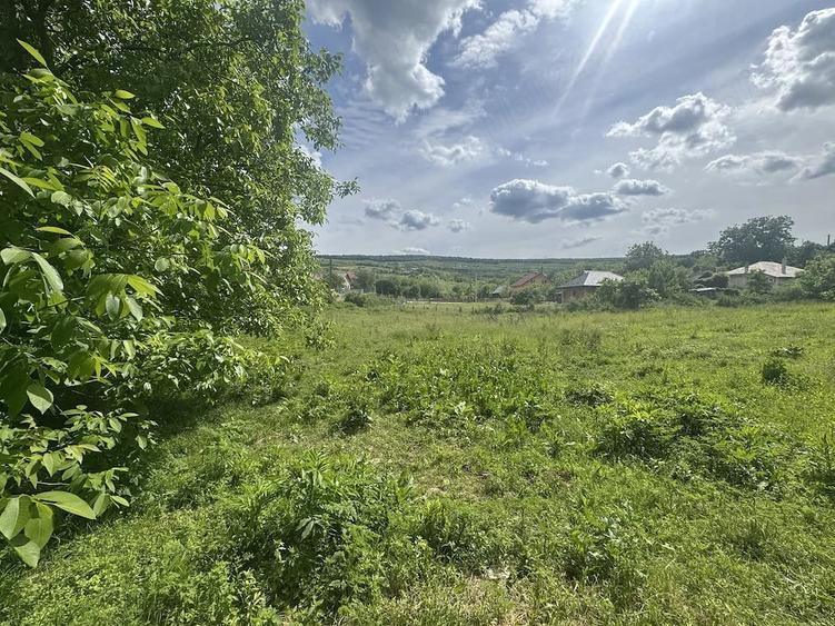 Teren de 700 mp, în Goruni
