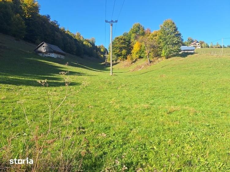 Teren de 16000 mp, în Dâmbovicioara