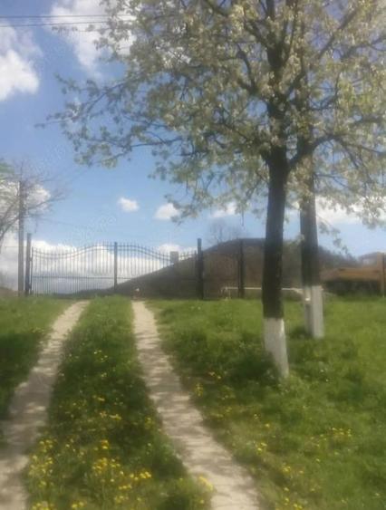 Casă cu 3 camere cu Teren 2100 Mp în Criș